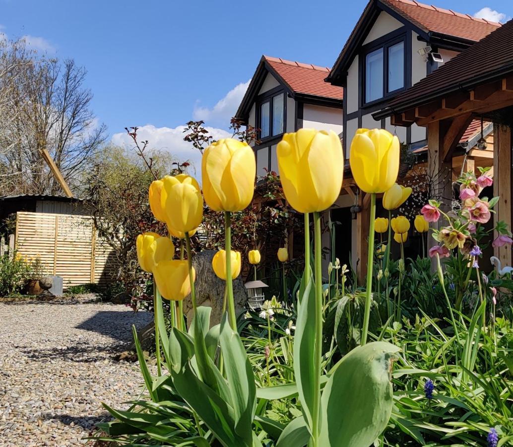 Delightful & Picturesque Modern Detached Apartment, Next To Chester Zoo, Near Park And Ride To City Centre Dış mekan fotoğraf